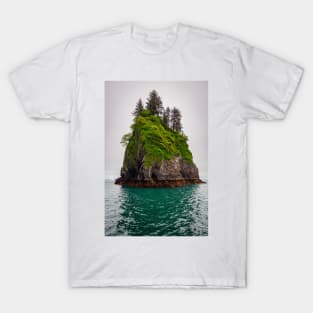 Formation of Aialik Bay T-Shirt